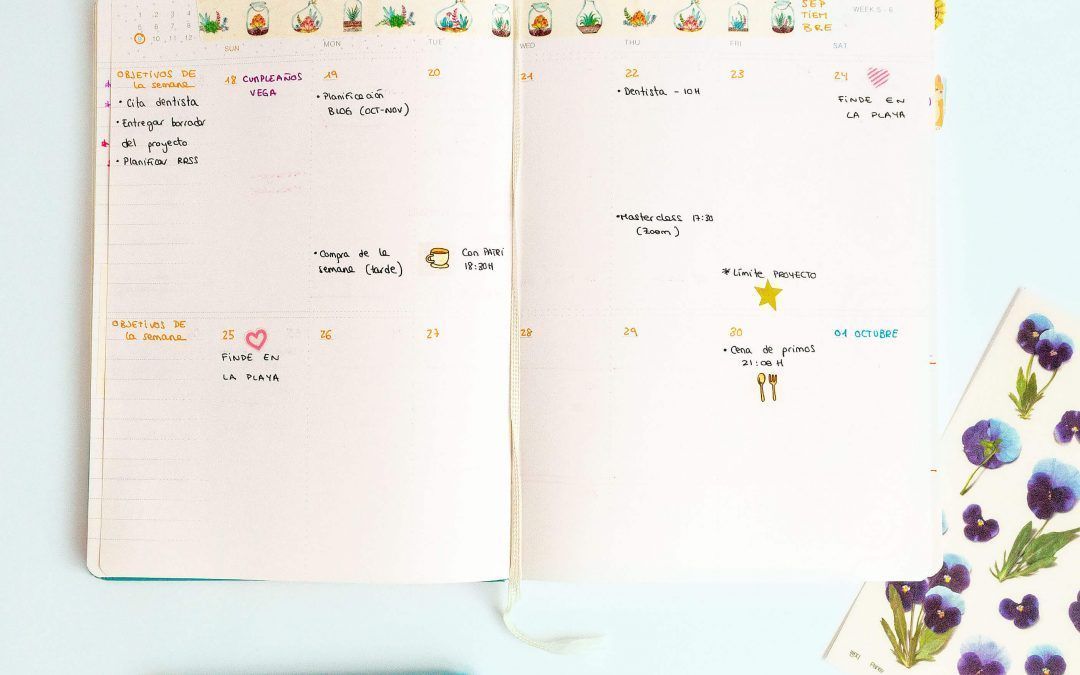 Descubre qué agendas se adaptan mejor a ti
