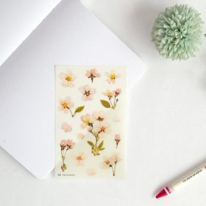 Pegatinas diseño flores prensadas - Flor de cerezo