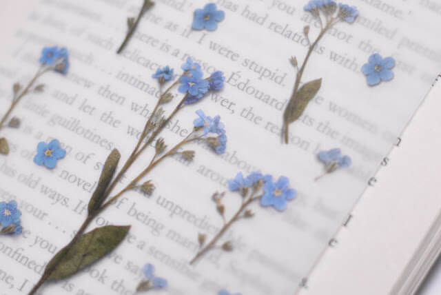 Pegatinas diseño flores prensadas - Nomeolvides - Imagen 2
