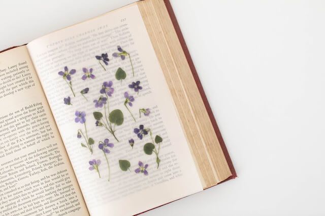 Pegatinas diseño flores prensadas - Violeta - Imagen 3