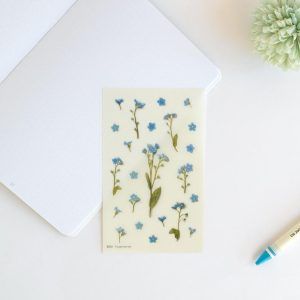 Pegatinas diseño flores prensadas - Nomeolvides