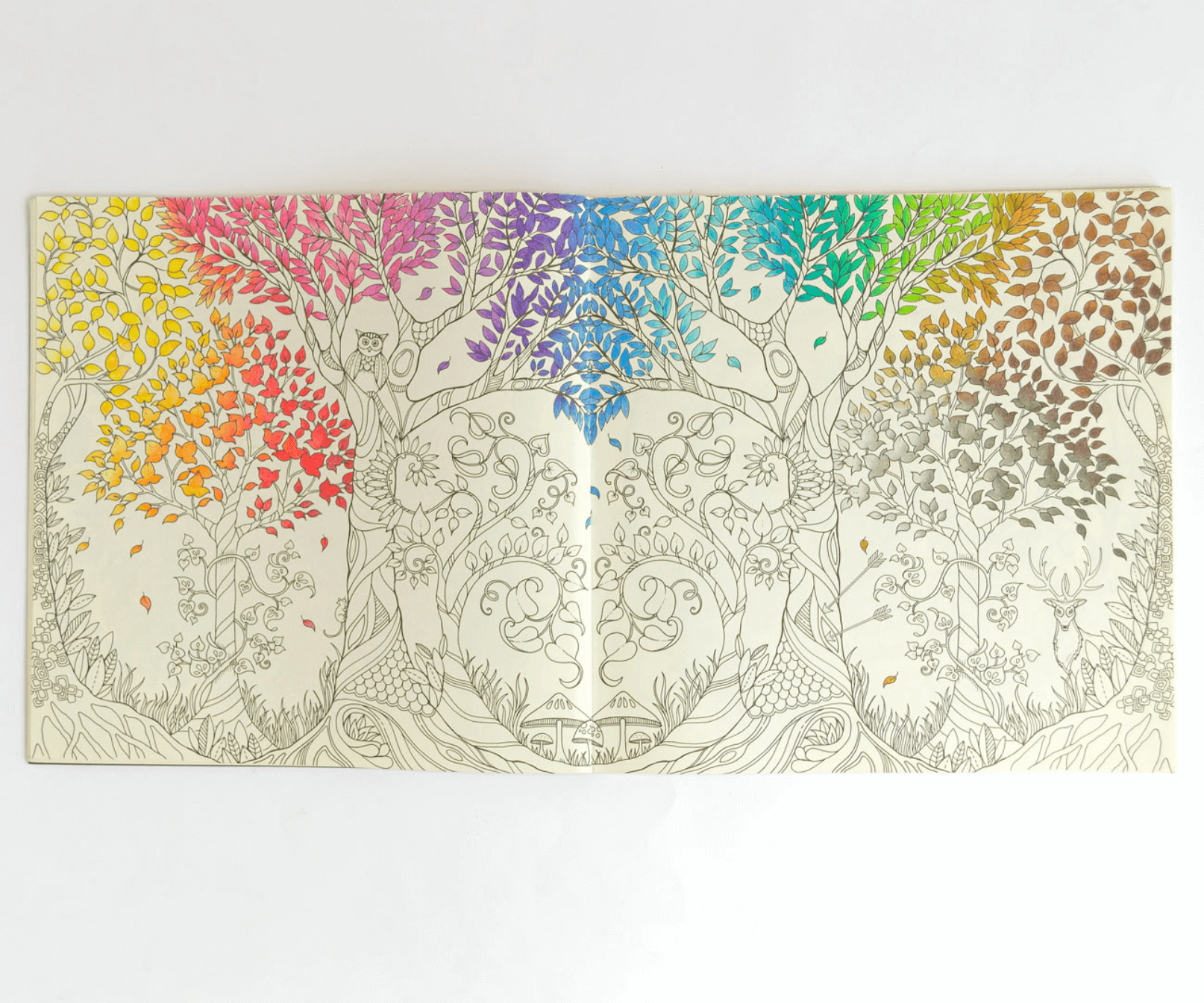 colorear para adultos