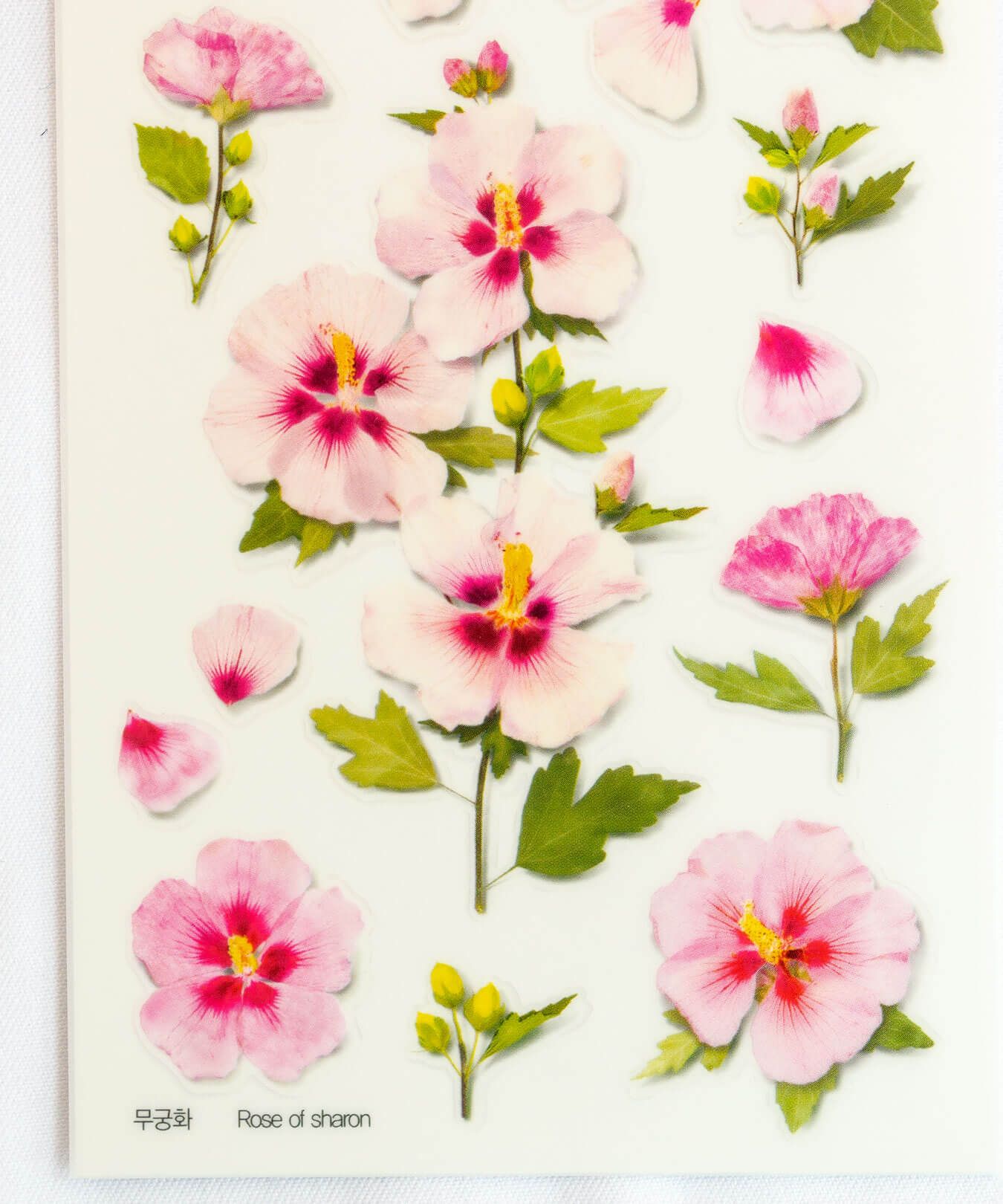 Pegatinas diseño flores prensadas - Rosa de Siria - Imagen 2