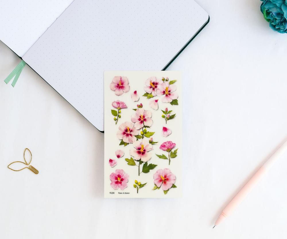 Pegatinas diseño flores prensadas - Rosa de Siria